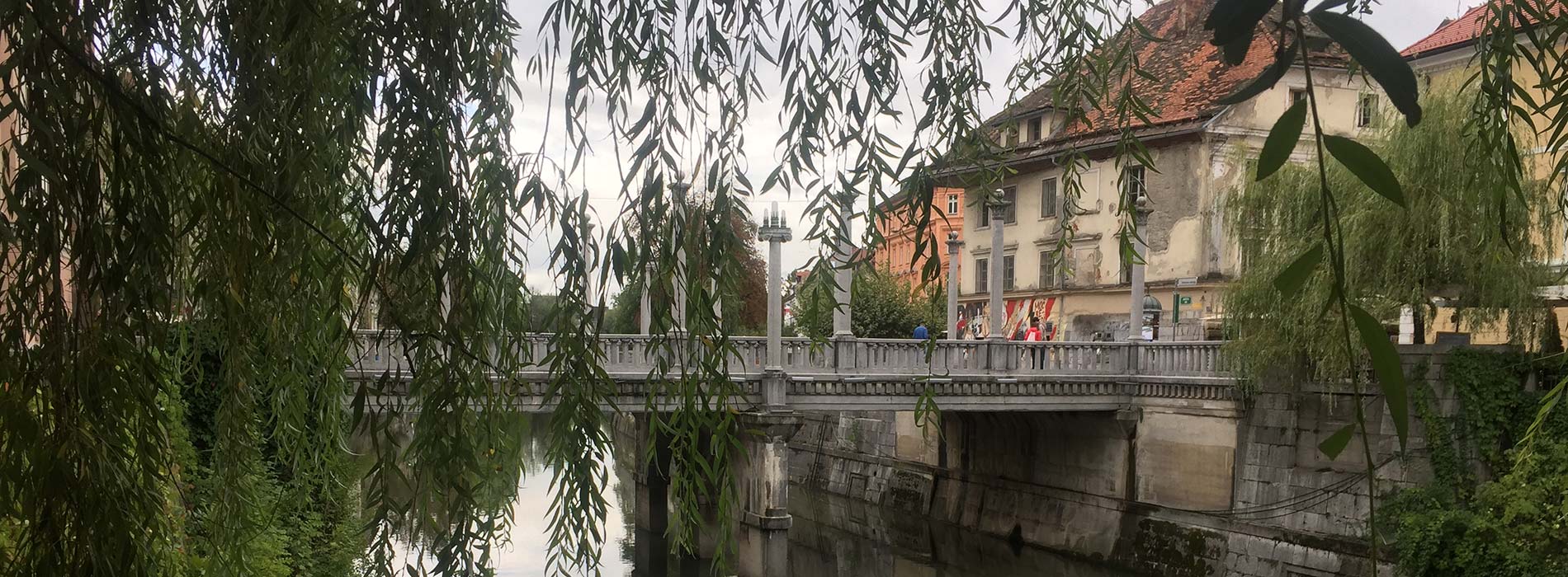 Standing under a willow tree, looking through the leaves at a bridge in Ljubljana, Slovenia.