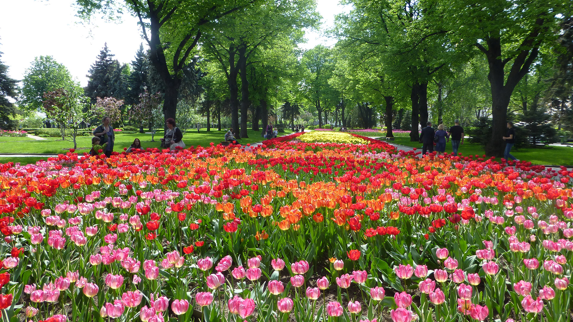 70 Flower Background For Zoom Meeting Pictures - MyWeb