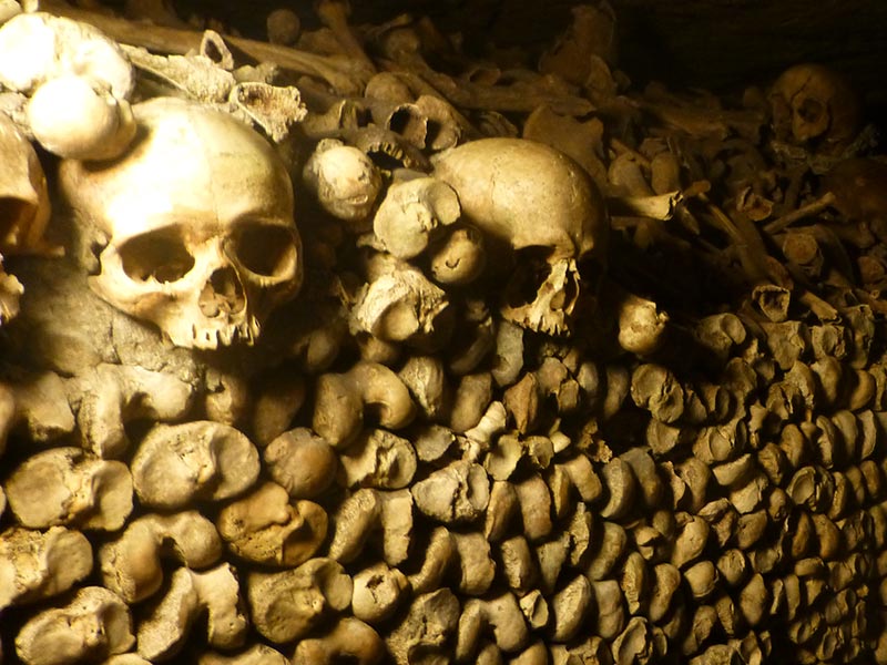 Skulls in the Paris Catacombs