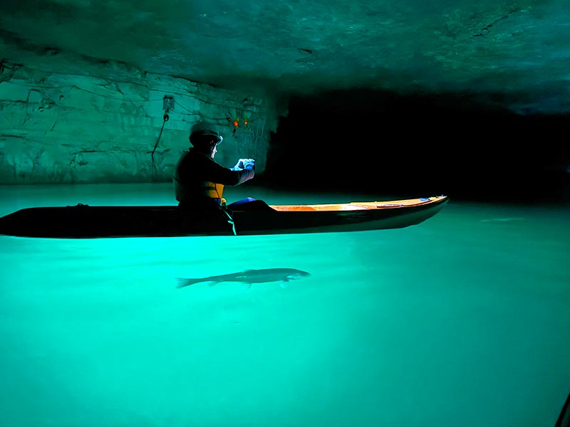 Kayak underground at the Red River Gorge, Kentucky - fish in the water