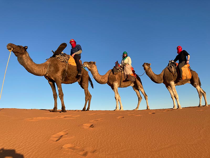 Sahara desert camel trek in Morocco